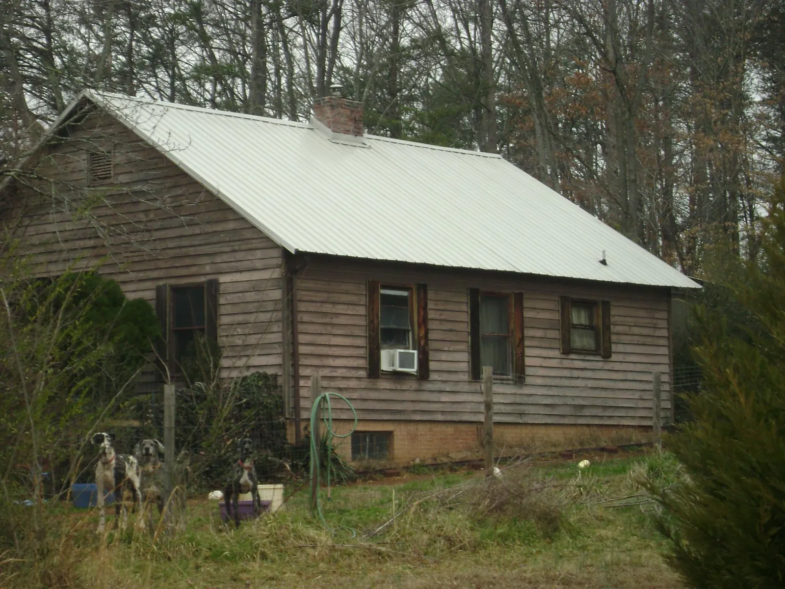 White metal roof on an old wood sided farmhouse, from a Metal Roof Installation job in Cleves